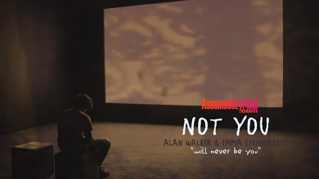 Alan Walker x Emma Steinbakken - Not You - AssameseLyrical -new